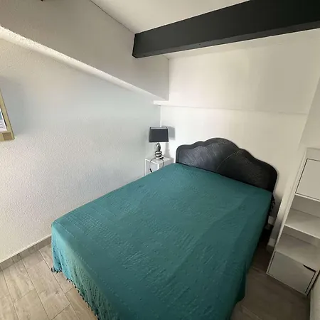 Appartement T2 Avec Climatisation, Piscine, Box Privé - Fr-1-702-6 Agde